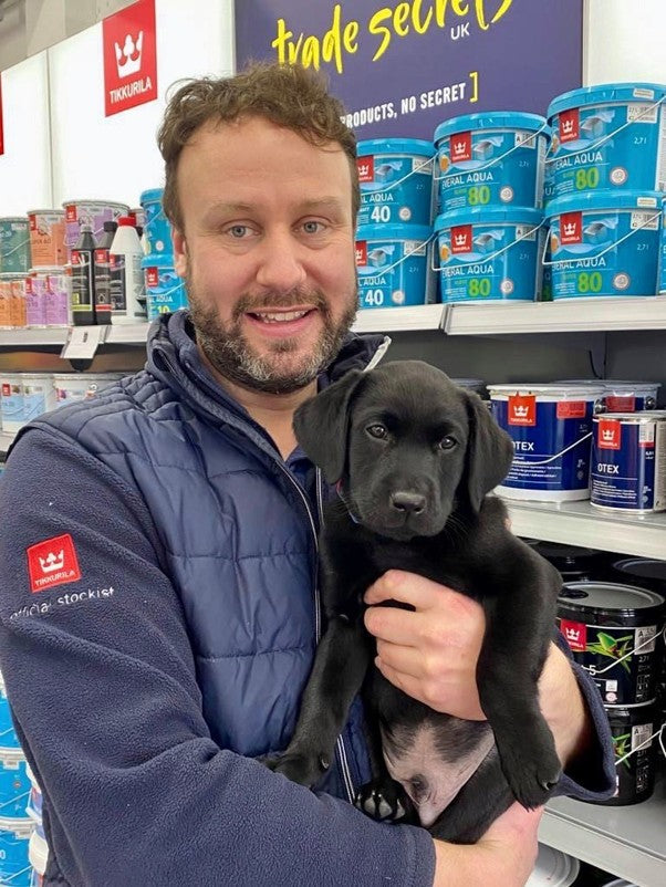 Dexter the Labrador, the Paint Shop, and Puppy Tuffie Training