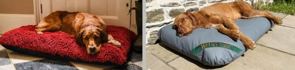 Dog Baskets for Large Dogs