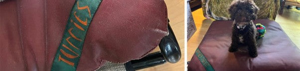 Dog Beds that last for Several Dog Generations