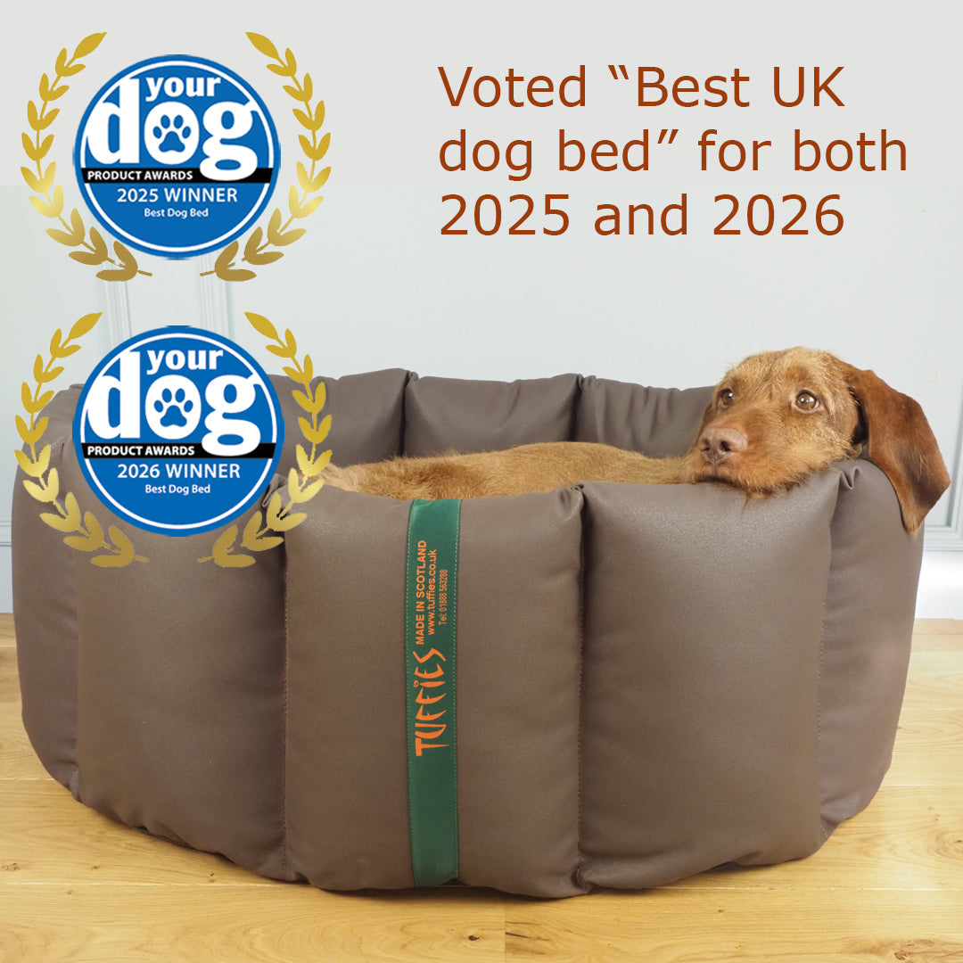 Orthopaedic Nest Dog Beds
