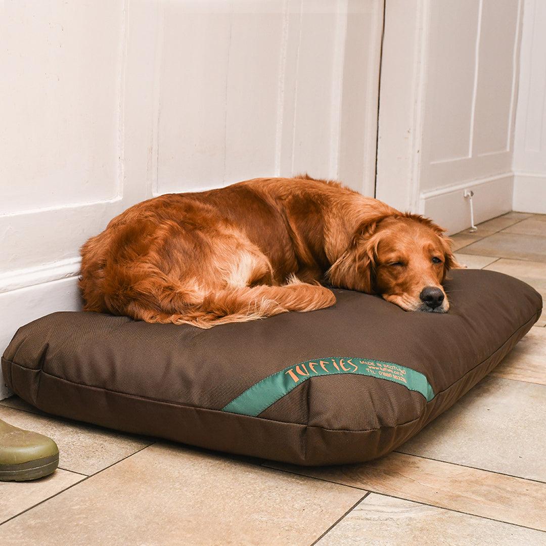 Orthopaedic Mattress Dog Beds