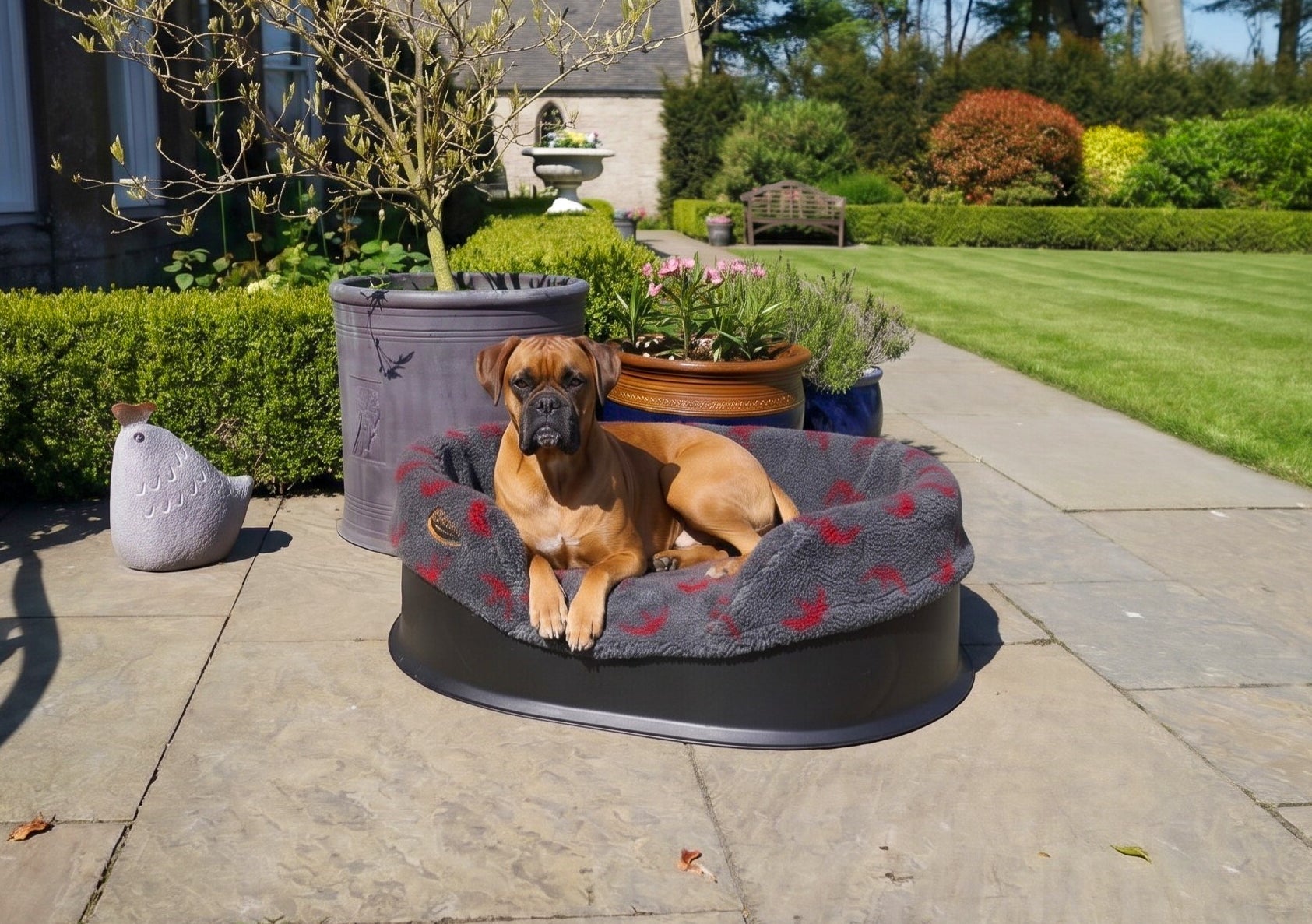 Raised Dog Bed and Spare Liners