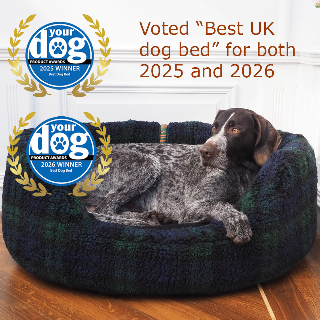 Washable Covers for Nest Dog Beds