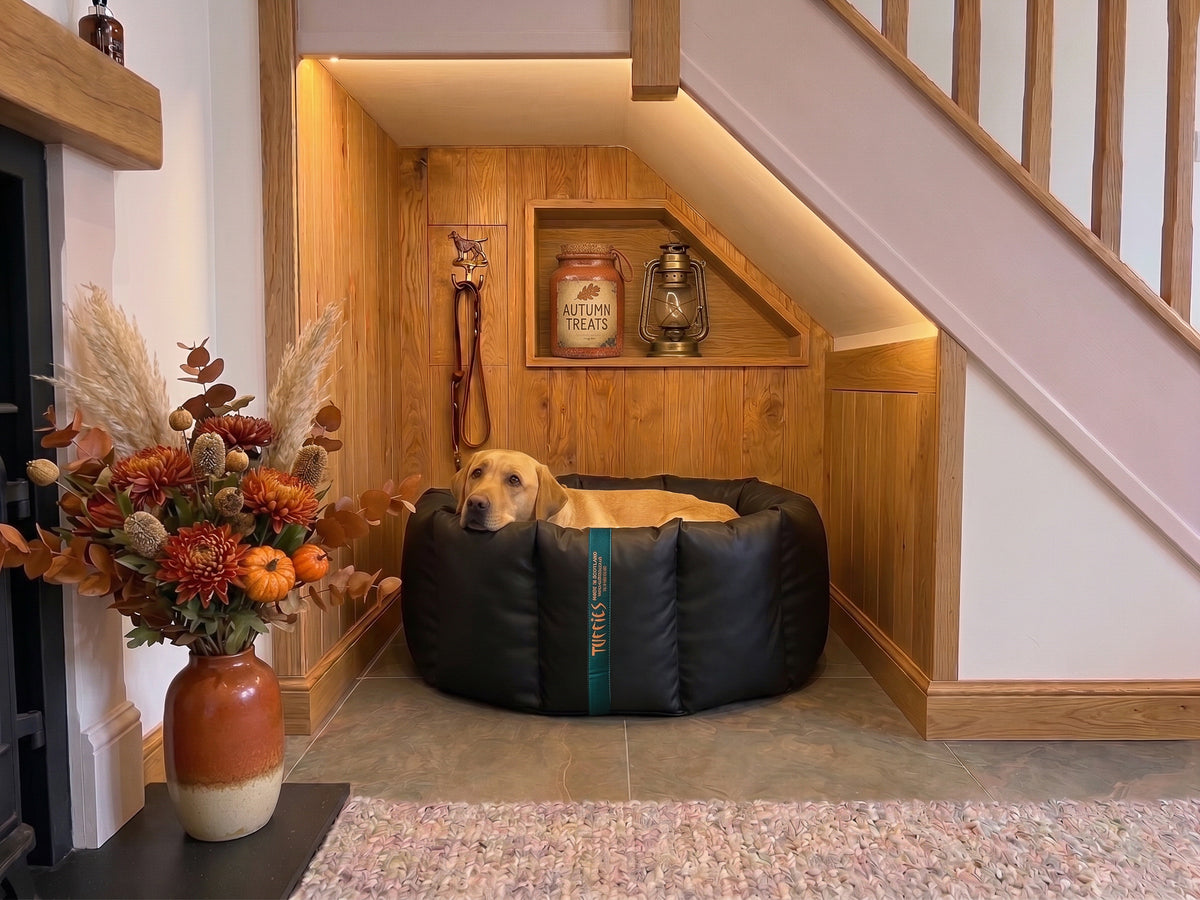 (Full Nest Black with Autumn Check)