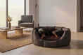 Load image into Gallery viewer, (Easy Access Black with Brown Dog Dryer)
