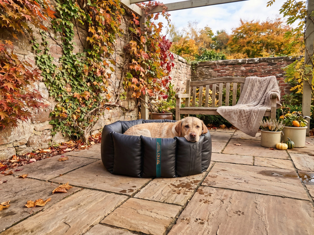 (Full Nest Black with Brown Dog Dryer)