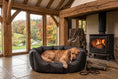 Load image into Gallery viewer, (Easy Access Black with Grey Dog Dryer)
