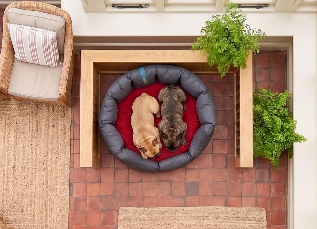 (Easy Access Black with Red Dog Dryer)