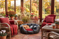Load image into Gallery viewer, (Easy Access Black with Red Dog Dryer)
