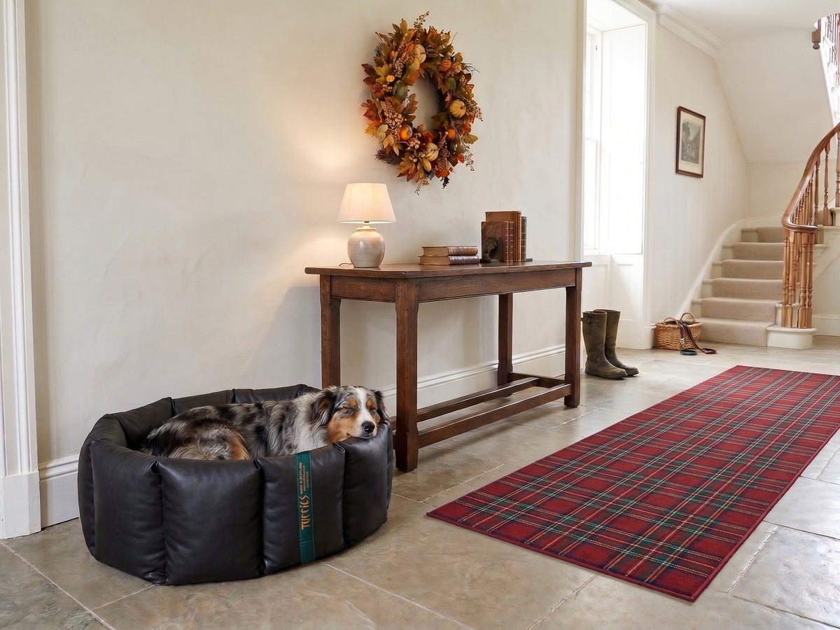 (Full Nest Black with Red Dog Dryer)