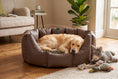 Load image into Gallery viewer, (Easy Access Chocolate with Brown Dog Dryer)
