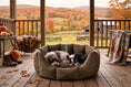 Load image into Gallery viewer, (Easy Access Chocolate with Brown Dog Dryer)
