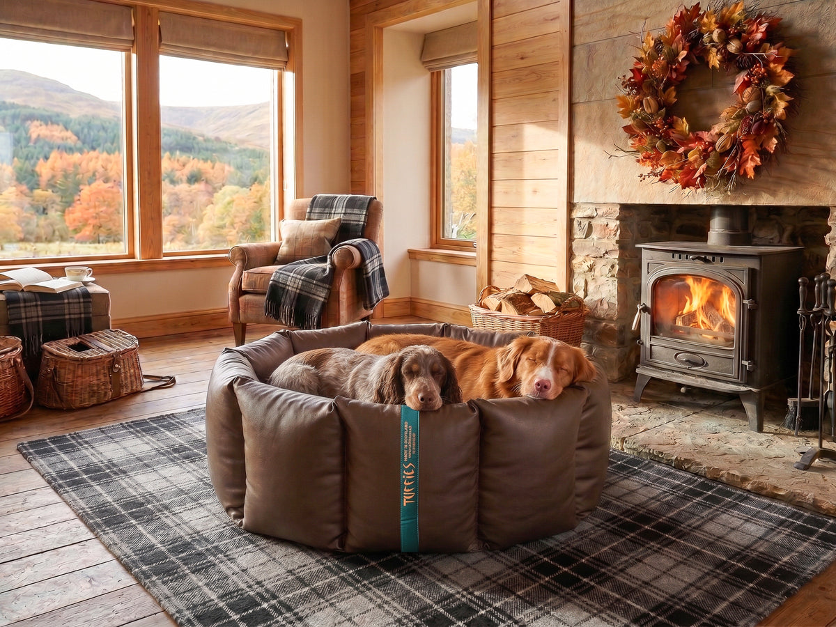 (Full Nest Chocolate with Grey Dog Dryer)