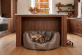 Load image into Gallery viewer, (Easy Access Chocolate with Grey Dog Dryer)

