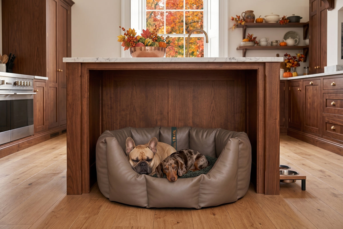 (Easy Access Chocolate with Grey Dog Dryer)
