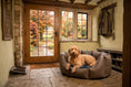 Load image into Gallery viewer, (Easy Access Chocolate with Navy Dog Dryer)
