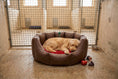 Load image into Gallery viewer, (Easy Access Chocolate with Red Dog Dryer)
