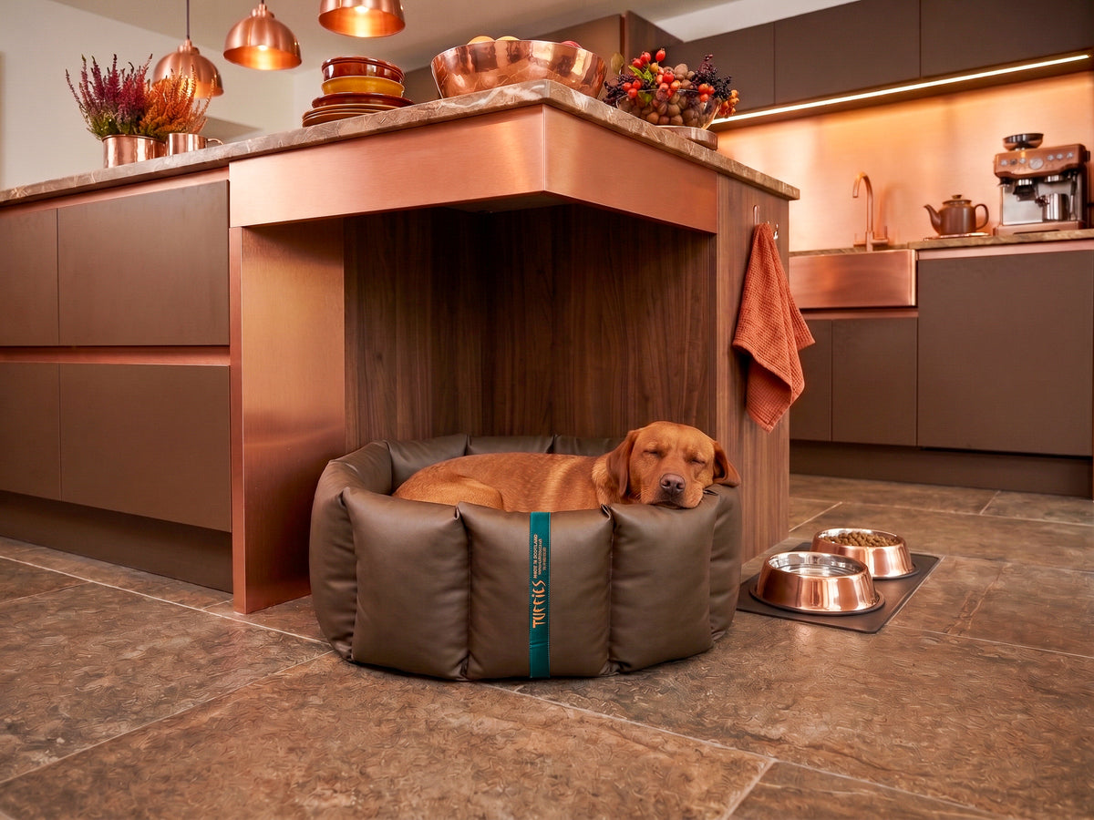 (Full Nest Chocolate with Winter Warm)