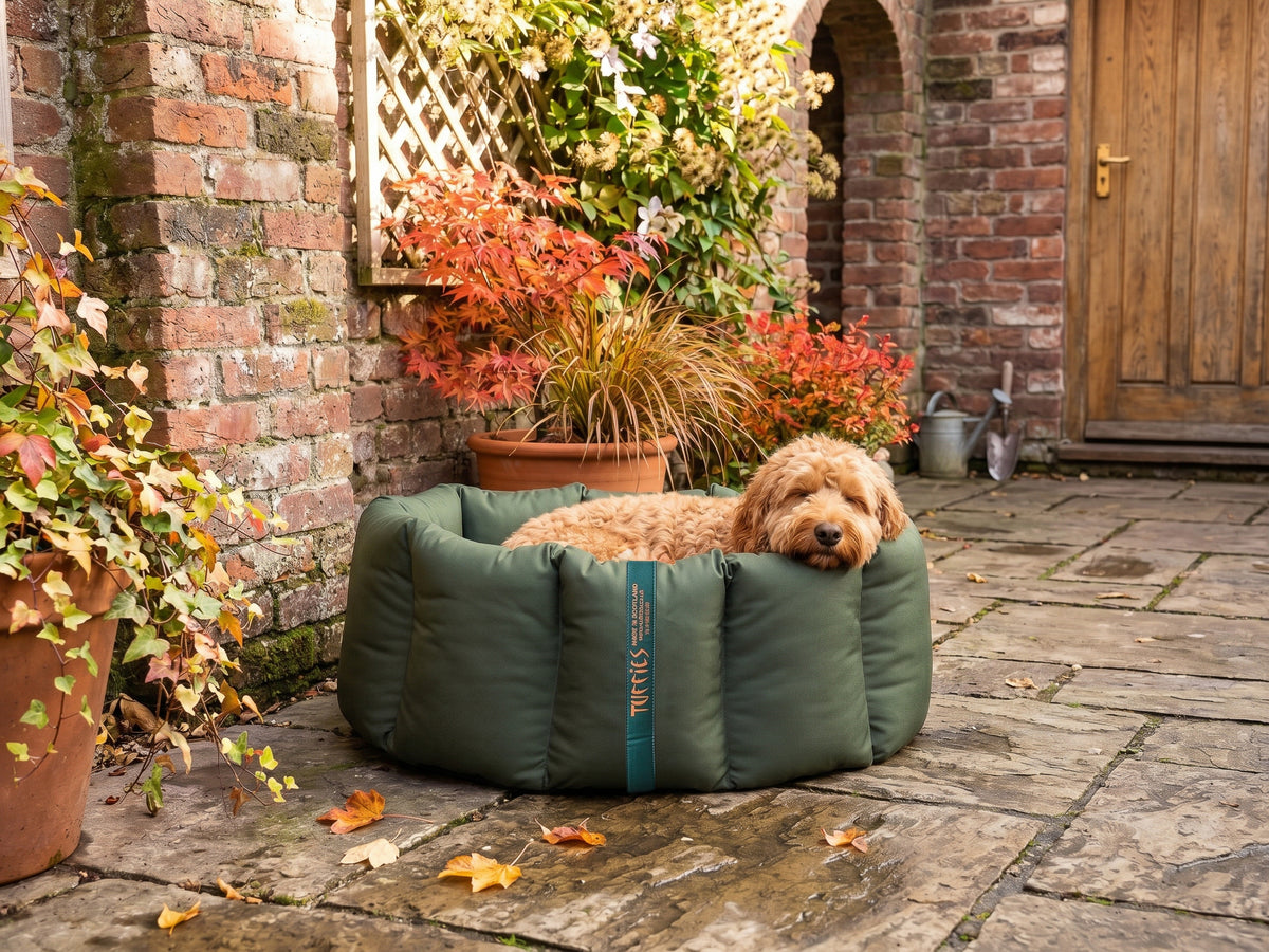 (Full Nest Dark Olive with Brown Dog Dryer)