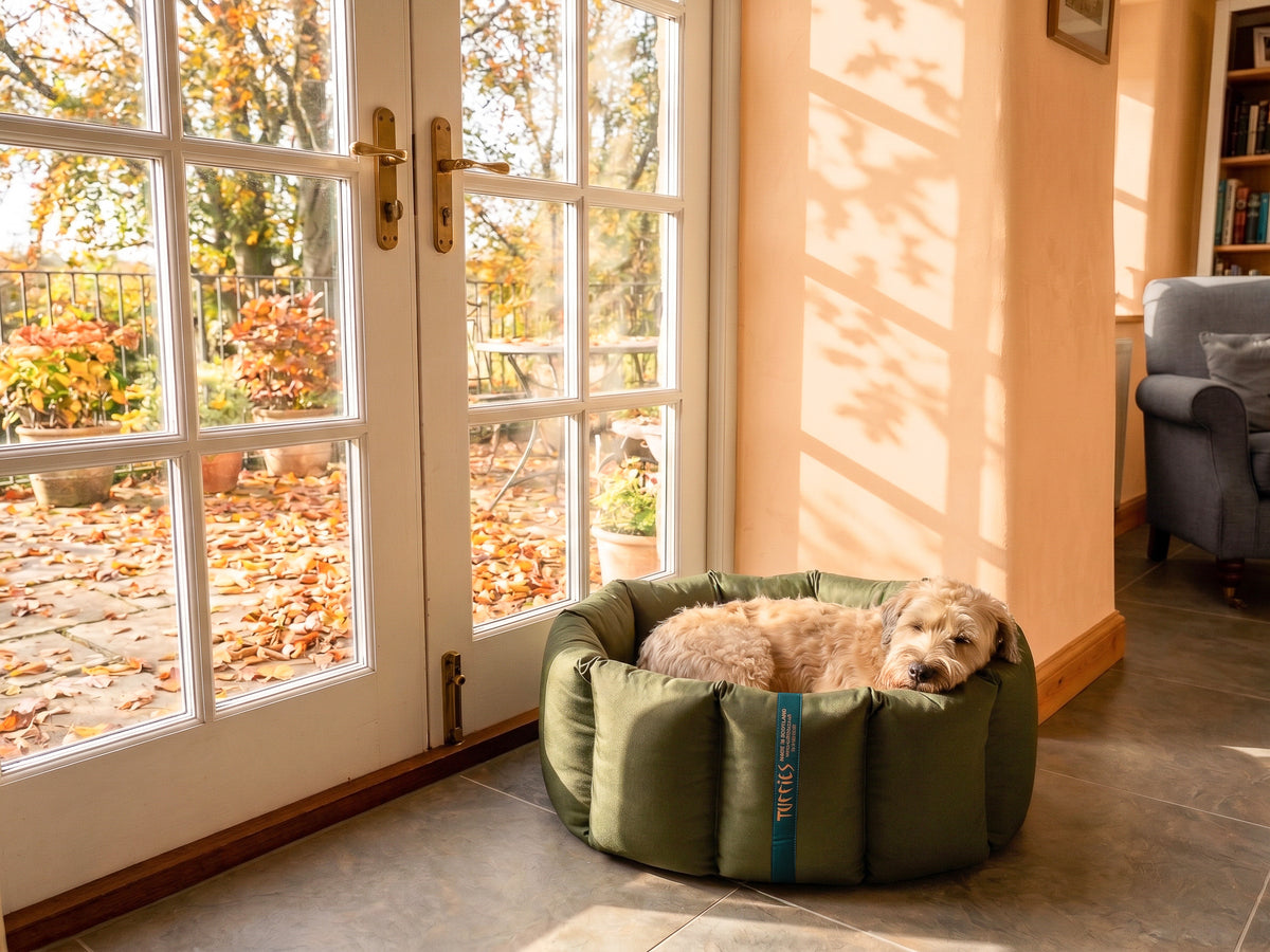 (Full Nest Dark Olive with Grey Dog Dryer)