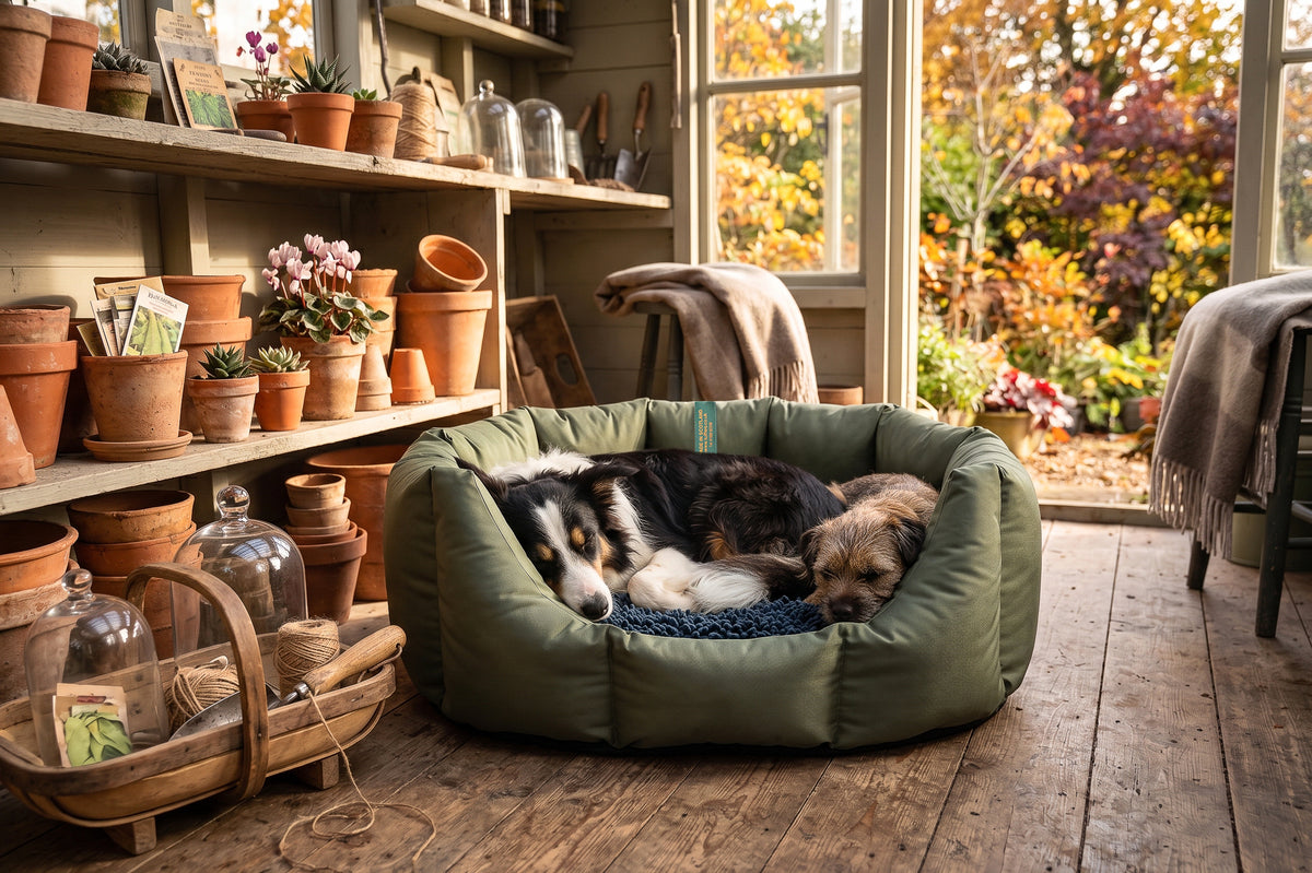 (Easy Access Dark Olive with Navy Dog Dryer)