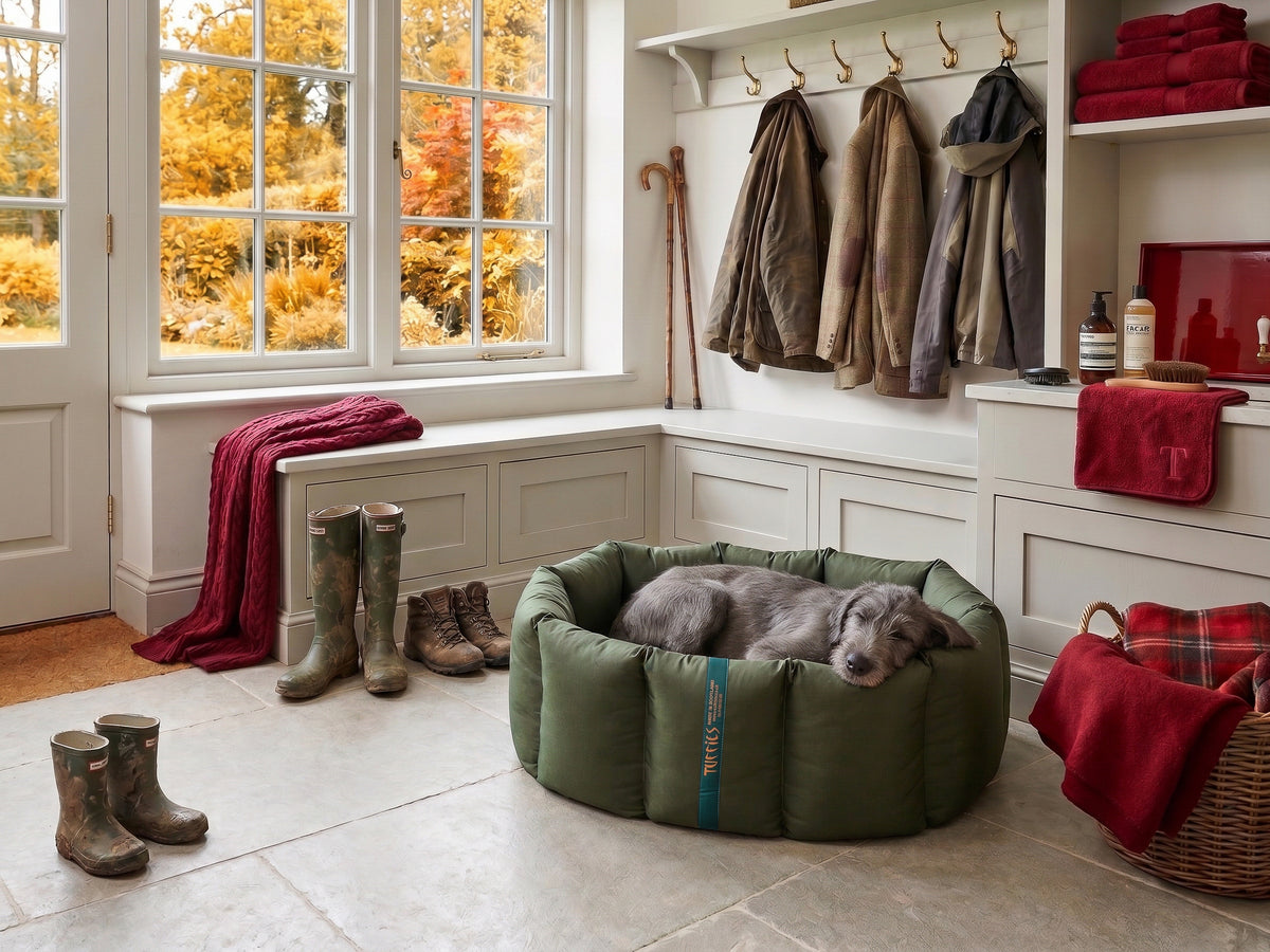 (Full Nest Dark Olive with Winter Warm)
