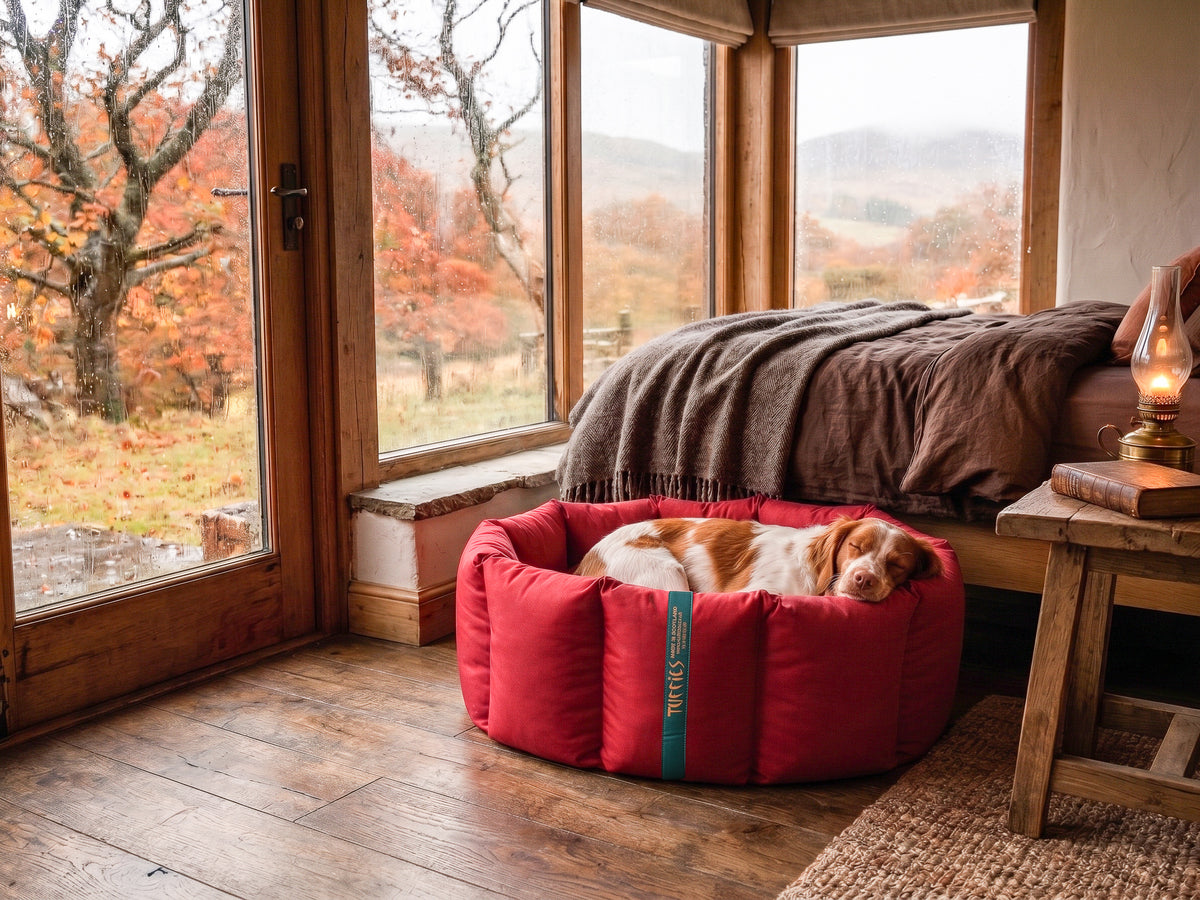 (Full Nest Dark Red with Brown Dog Dryer)