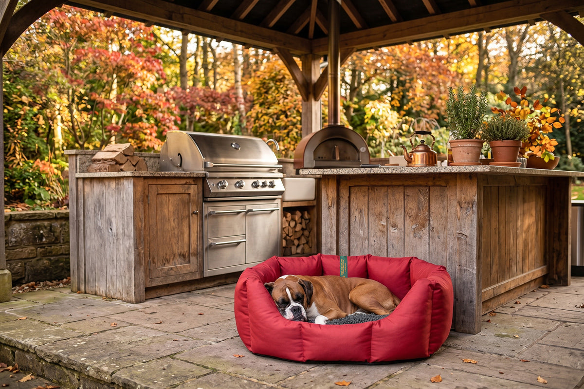 (Easy Access Dark Red with Grey Dog Dryer)