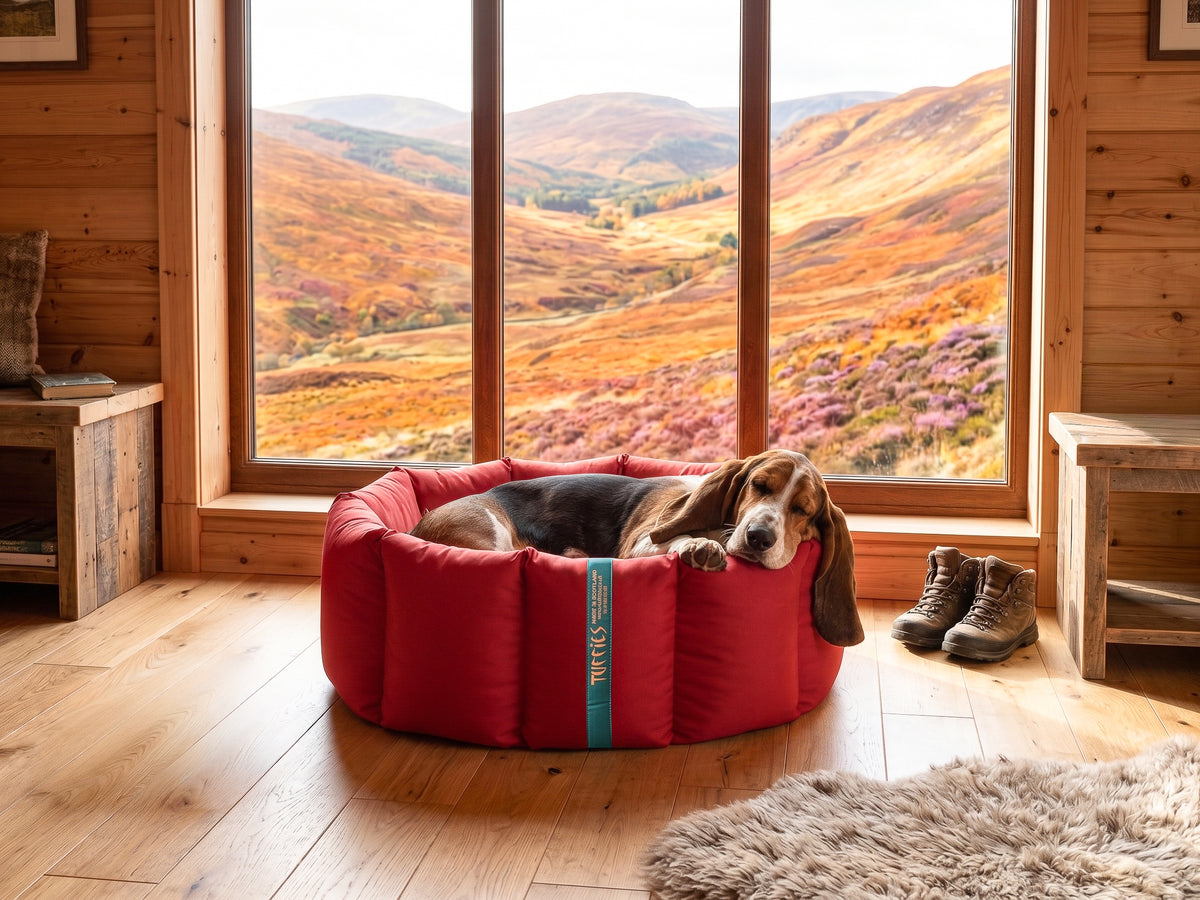 (Full Nest Dark Red with Navy Dog Dryer)