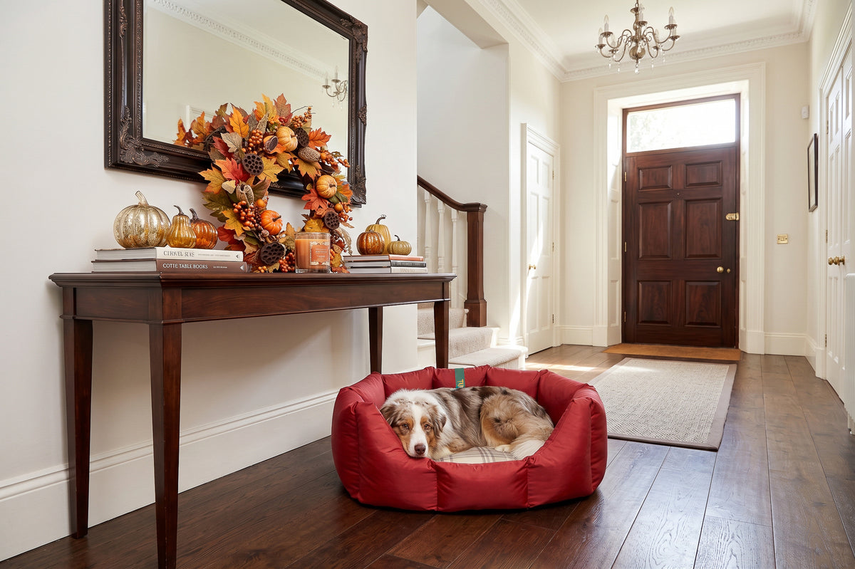 (Easy Access Dark Red with Sprigs)