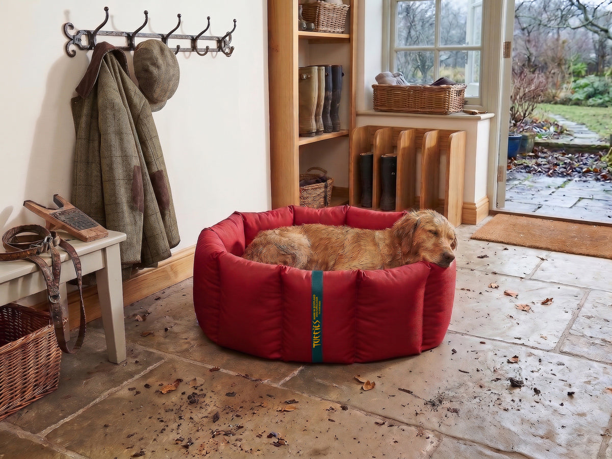 (Full Nest Dark Red with Tweed)