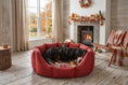 Load image into Gallery viewer, (Easy Access Dark Red with Winter Warm)
