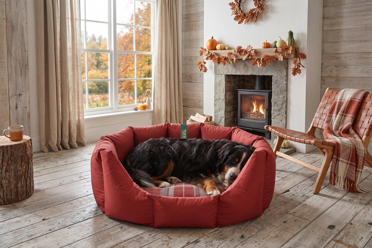 (Easy Access Dark Red with Winter Warm)