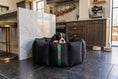 Load image into Gallery viewer, (Full Nest Black with Grey Dog Dryer)
