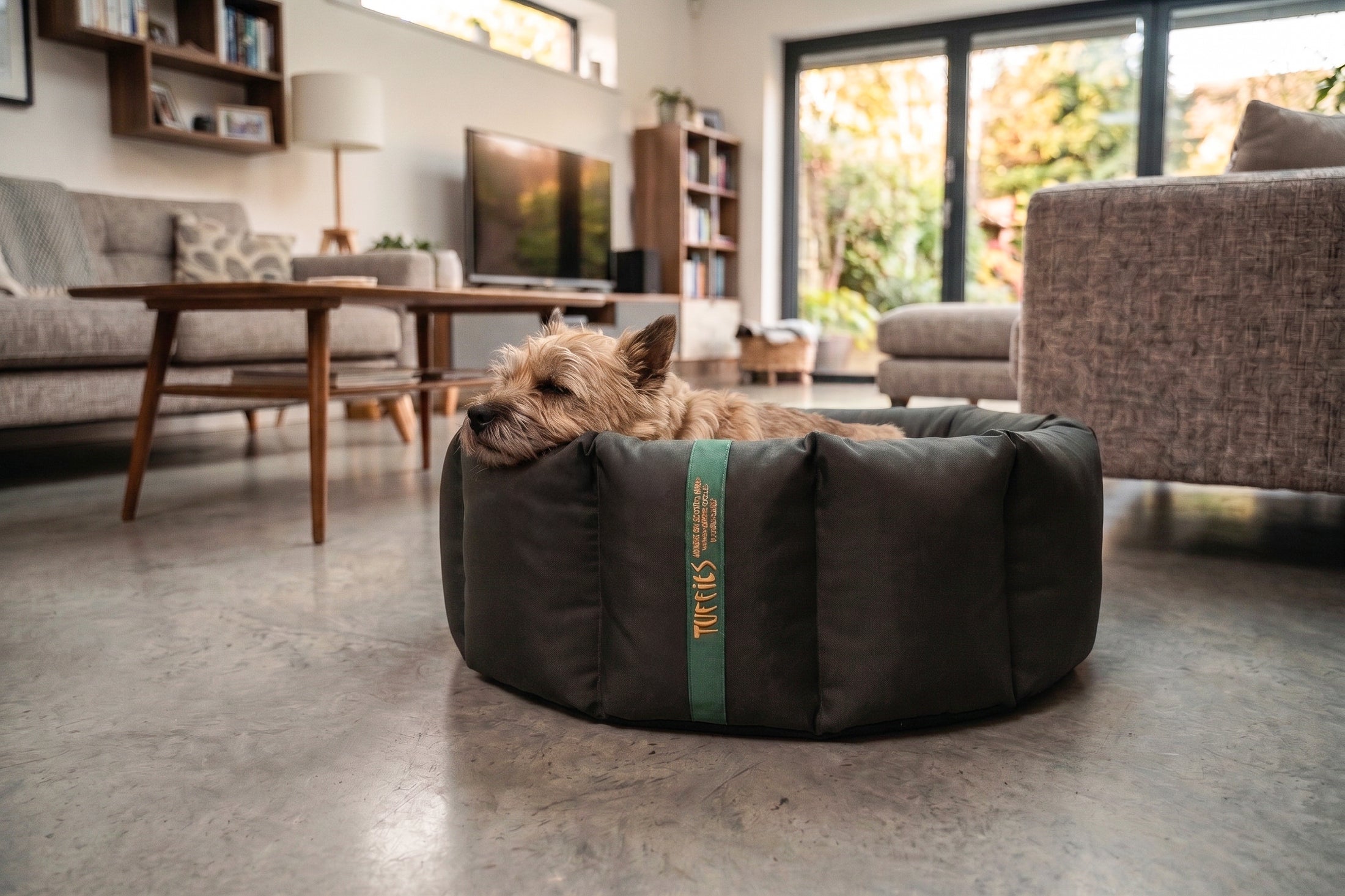 (Full Nest Black with Navy Dog Dryer)