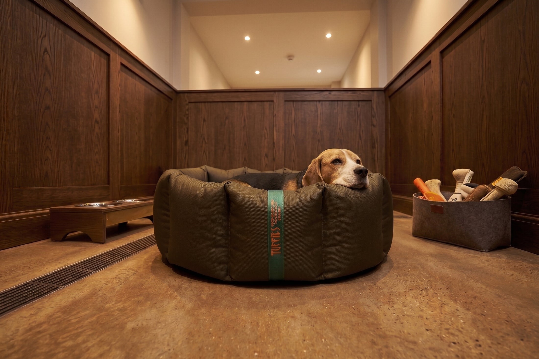 (Full Nest Chocolate with Grey Dog Dryer)