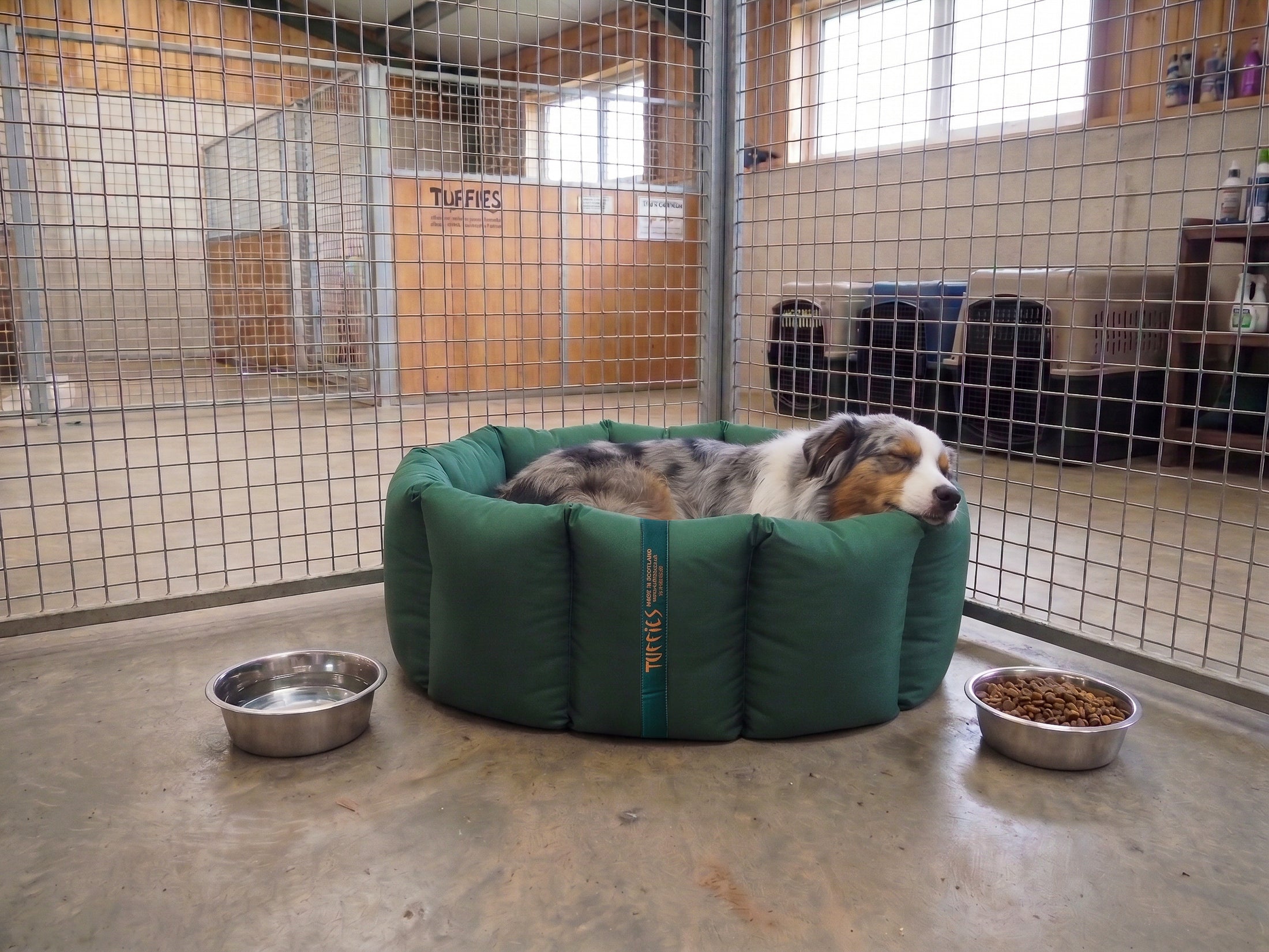 (Full Nest Emerald Green with Navy Dog Dryer)