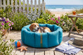 Load image into Gallery viewer, (Full Nest Teal with Brown Dog Dryer)
