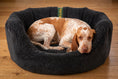 Load image into Gallery viewer, CLEARANCE : EXTRA LARGE, Easy Access Black Nest Cover
