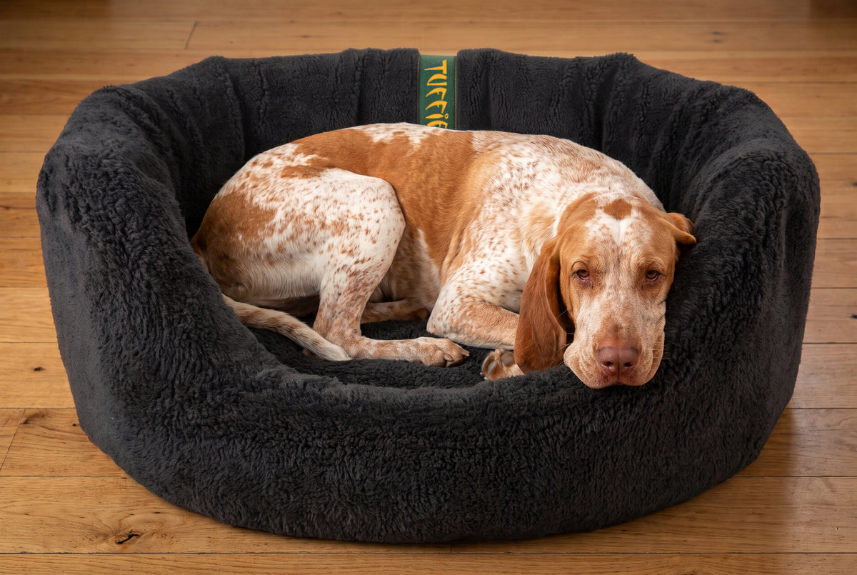 CLEARANCE : EXTRA LARGE, Easy Access Black Nest Cover