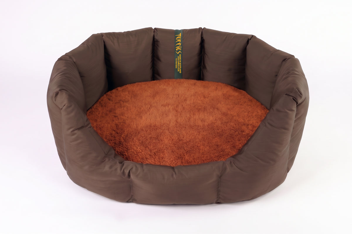 (Easy Access Chocolate with Burnt Orange)