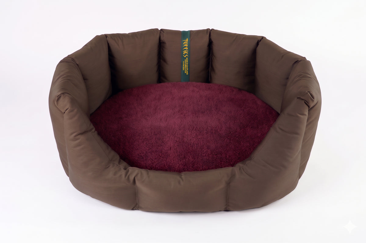 (Easy Access Chocolate with Burgundy)