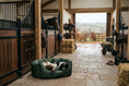 Load image into Gallery viewer, (Easy Access Dark Olive with British Racing Green)
