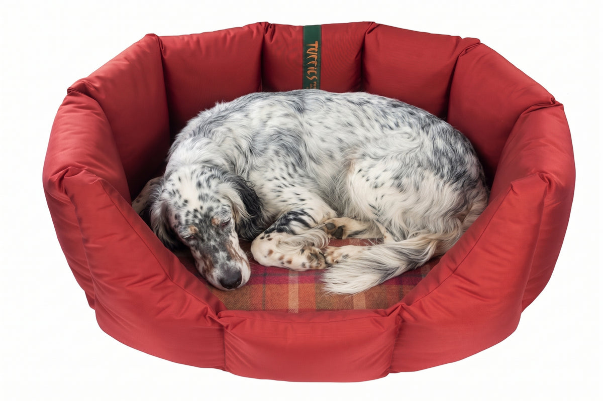CLEARANCE : Large, Easy Access Durasoft Dark Red Nest with Highland Rose