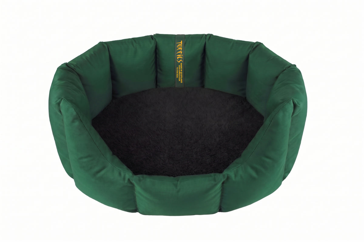 (Easy Access Emerald Green with Black)