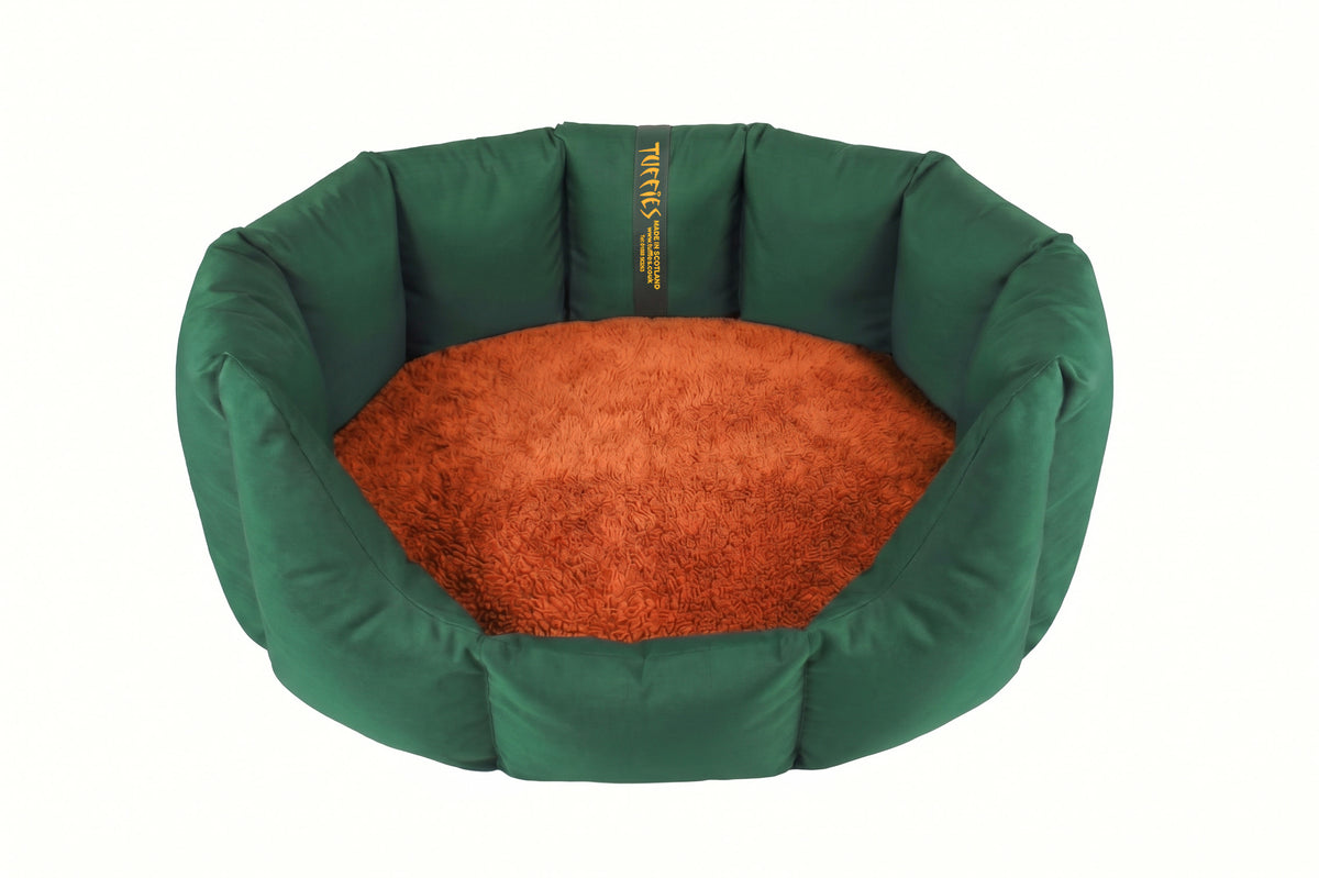 (Easy Access Emerald Green with Burnt Orange)