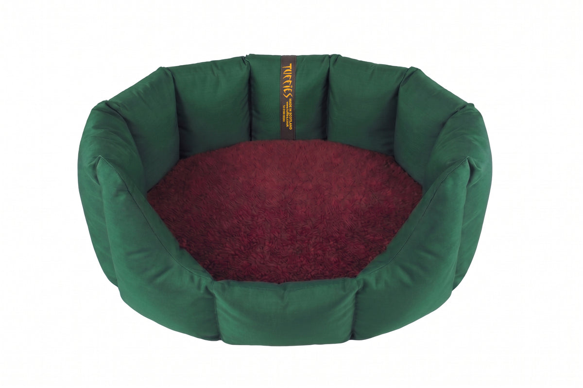 (Easy Access Emerald Green with Burgundy)