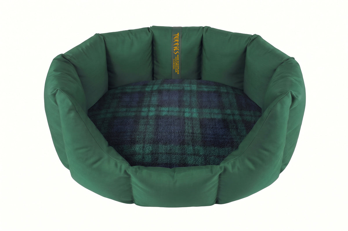 (Easy Access Emerald Green with Black Watch)