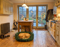 Load image into Gallery viewer, (Easy Access Emerald Green with Paw Print)
