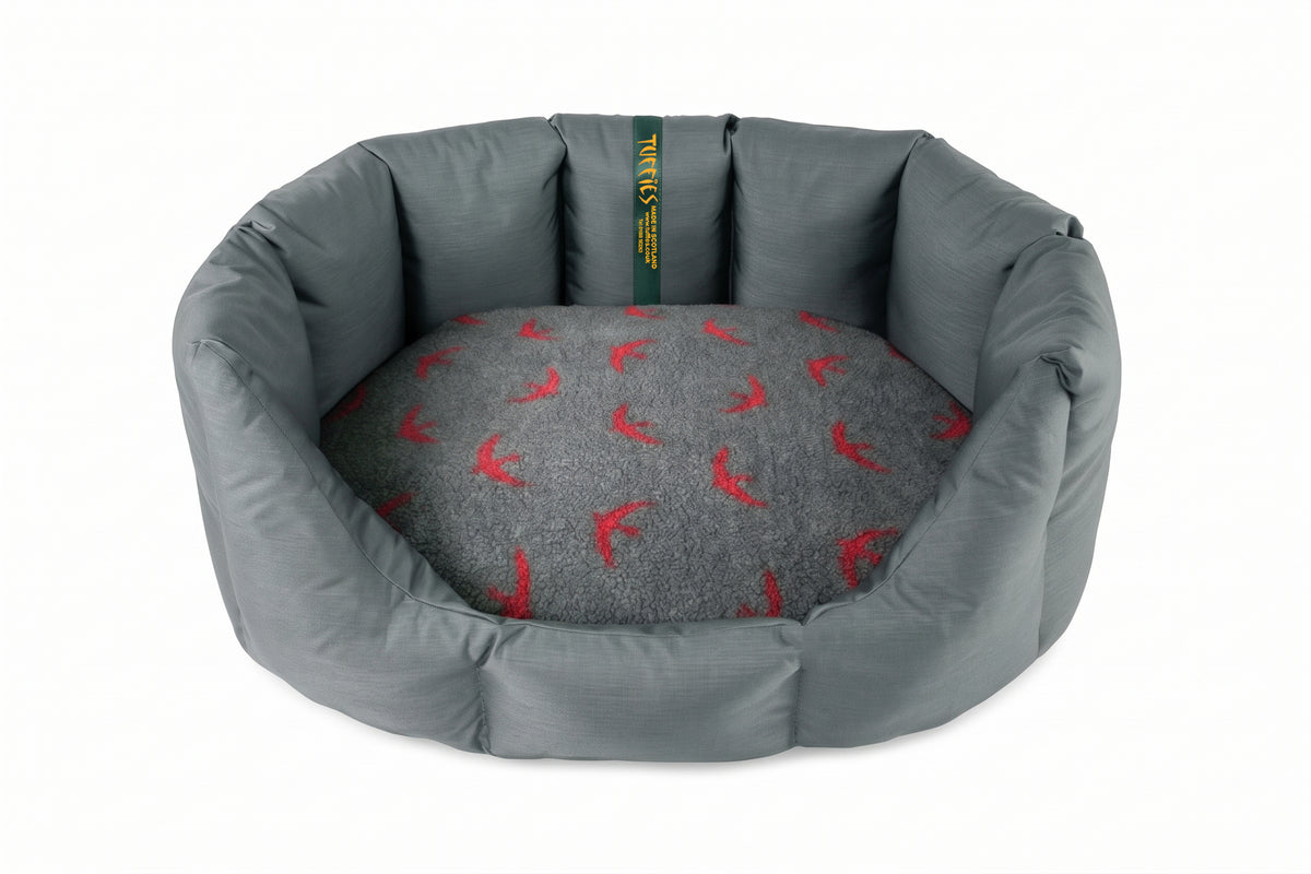 (Easy Access Grey with Red Swift)